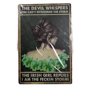 Aluminum Tin Sign I Am The Storm Retro Vintage Sign Home Wall Decor 8"x 12" In